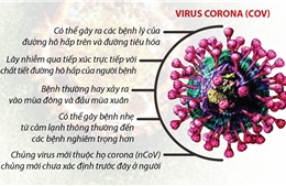 Phòng, chống dịch bệnh viêm phổi cấp do chủng virus corona mới