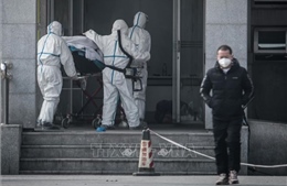 Trung Quốc xác nhận ​ca tử vong thứ 4 do virus corona, WHO phải họp khẩn cấp