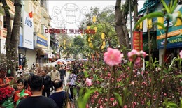 Chợ hoa truyền thống Hàng Lược bắt đầu hoạt động