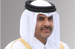 Điện mừng Thủ tướng Nhà nước Qatar