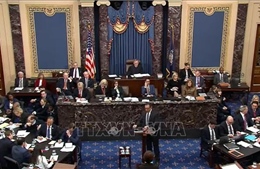 Thượng viện Mỹ bắt đầu ngày chất vấn thứ hai trong phiên luận tội tổng thống