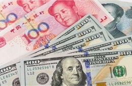 Tỷ giá trung tâm sáng 31/1 tăng 11 đồng, Nhân dân tệ đồng loạt giảm giá