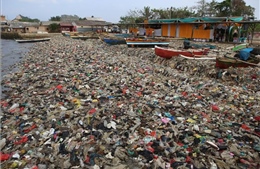 WWF công bố báo cáo về vấn nạn xả rác thải nhựa ra biển tại châu Á