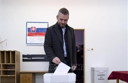 Đảng OLaNO giành thắng lợi trong cuộc bầu cử quốc hội Slovakia
