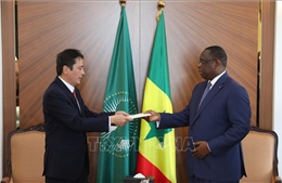 Thúc đẩy hợp tác toàn diện Việt Nam - Senegal