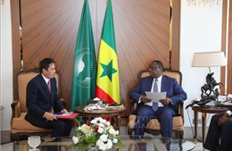 Việt Nam và Senegal mở rộng hợp tác song phương