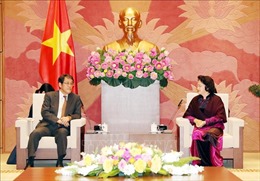 Hợp tác Việt Nam - Nhật Bản ngày càng thực chất trên các lĩnh vực 