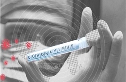 Đã xét nghiệm trên 15.000 mẫu bệnh phẩm