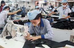 Hoa Kỳ không có chủ trương tạm thời ngừng nhập khẩu sản phẩm dệt may của Việt Nam