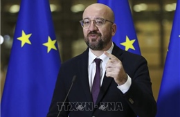 EU ghi nhận nỗ lực gia nhập khối của Ukraine