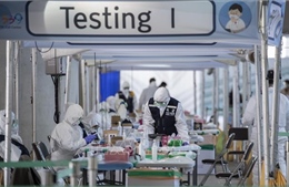 Mỹ tìm hiểu kinh nghiệm chống dịch COVID-19 của Hàn Quốc