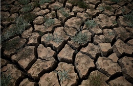 Khô hạn trầm trọng nhất tại miền Tây nước Mỹ trong hơn 1.000 năm qua