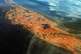 Nga điều tra thông tin về vụ tràn dầu ở Biển Đen