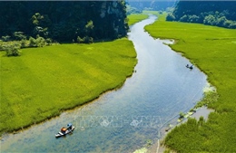 Đắm say Tam Cốc trong mùa lúa xanh ngút ngàn