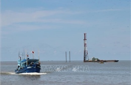 Cà Mau khảo sát về thông tin tua bin điện gió Tân Thuận cản trở giao thông biển