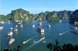 Nhiều doanh nghiệp hưởng ứng chiến dịch kích cầu du lịch Quảng Ninh