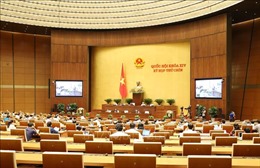 Quốc hội cho ý kiến về thí điểm tổ chức mô hình chính quyền đô thị tại Đà Nẵng