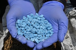 Bình Dương: Bắt một đối tượng, thu giữ hơn 8kg thuốc lắc, ma túy