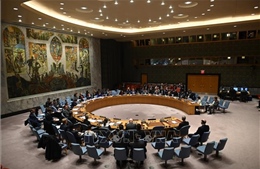 Hội đồng Bảo an LHQ thông qua 4 nghị quyết theo thủ tục đặc biệt
