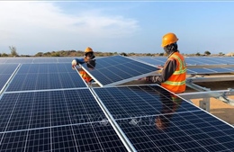 Doanh nghiệp điện mặt trời Bình Định đề xuất gỡ khó cho dự án điện chuyển tiếp