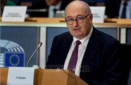 Ủy viên Thương mại EU rút khỏi cuộc đua chức Tổng Giám đốc WTO