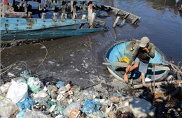 Cần xử lý dứt điểm ô nhiễm tại Cảng cá Sa Huỳnh