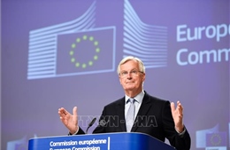 EU không chấp nhận các đề xuất về ngân hàng của Anh