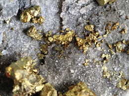 Ai Cập phát hiện mỏ vàng khổng lồ trữ lượng 35 tấn