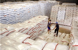 Indonesia ước tính lượng dự trữ gạo vượt 22 triệu tấn trong năm nay