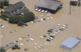Nhật Bản đẩy mạnh cứu hộ tại các tỉnh bị ảnh hưởng mưa lũ