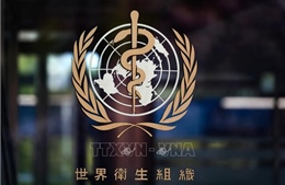 WHO đang giám sát trường hợp bệnh dịch hạch tại Trung Quốc