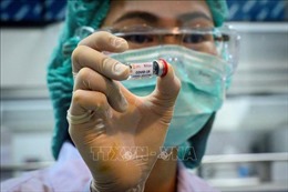Thái Lan thử nghiệm vaccine phòng COVID-19 trên loài khỉ