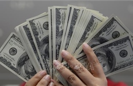 Tỷ giá trung tâm sáng 14/7 giảm 4 đồng