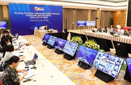 Giáo sư Nhật Bản nêu bật vai trò của Việt Nam trong tiến trình đàm phán RCEP