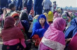 Hàng chục người tị nạn Rohingya mất tích ngoài khơi Malaysia
