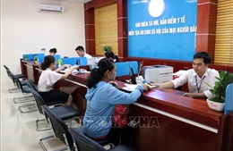 Nhiệm vụ, quyền hạn và cơ cấu tổ chức của Bảo hiểm xã hội Việt Nam