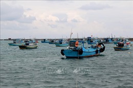 Bình Thuận: Kiểm điểm người đứng đầu để tàu cá bị bắt do vi phạm IUU
