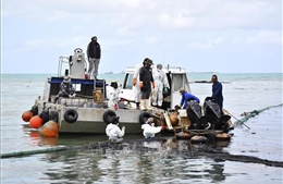 Các chuyên gia của LHQ đến Mauritius hỗ trợ ngăn chặn sự cố tràn dầu