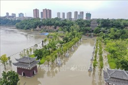 Trung Quốc tăng cường chống lũ trên sông Trường Giang