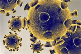 Thụy Sĩ phát hiện virus SARS-CoV-2 trong da người