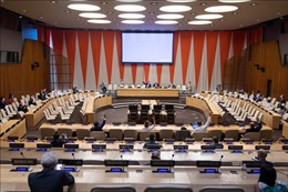 Hội đồng Bảo an thảo luận trực tiếp về tình hình Somalia