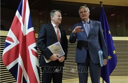 Anh khẳng định sẽ không trở thành 'quốc gia lệ thuộc' của EU