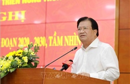 Phó Thủ tướng Trịnh Đình Dũng: Ngành chăn nuôi có cơ hội, triển vọng lớn
