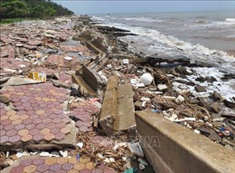 Cần sớm khắc phục sự cố sạt kè khu sinh thái biển Nam Định
