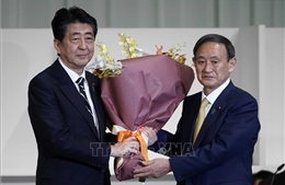 Nội các của Thủ tướng Abe đồng loạt từ chức