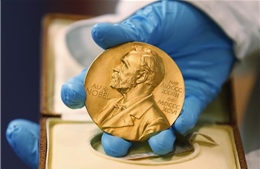 Thu hẹp quy mô lễ trao giải Nobel Hòa bình 2020 do đại dịch COVID-19