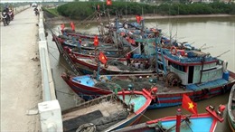 Ninh Bình tổ chức sắp xếp tàu thuyền neo đậu xong trước 18 giờ ngày 7/7