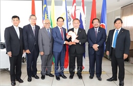 Ủy ban ASEAN tại Pretoria đánh giá cao đóng góp của Việt Nam trên cương vị Chủ tịch
