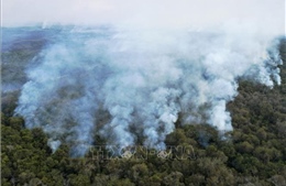 Brazil triển khai lực lượng đối phó hỏa hoạn tại vùng đất ngập nước Pantanal