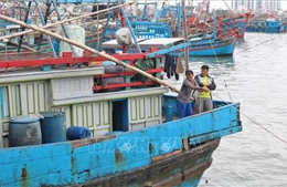 Hoàn thiện hạ tầng cảng cá và khu neo đậu tàu thuyền trước mùa mưa bão